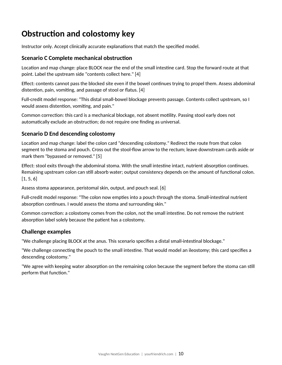 Page 10 of 11 of Digestive Map Game Packet. Open the PDF for selectable document text.