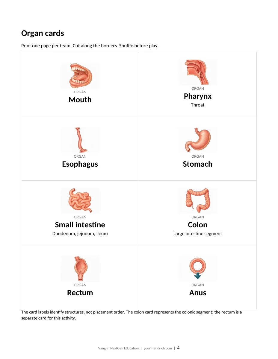 Page 4 of 11 of Digestive Map Game Packet. Open the PDF for selectable document text.