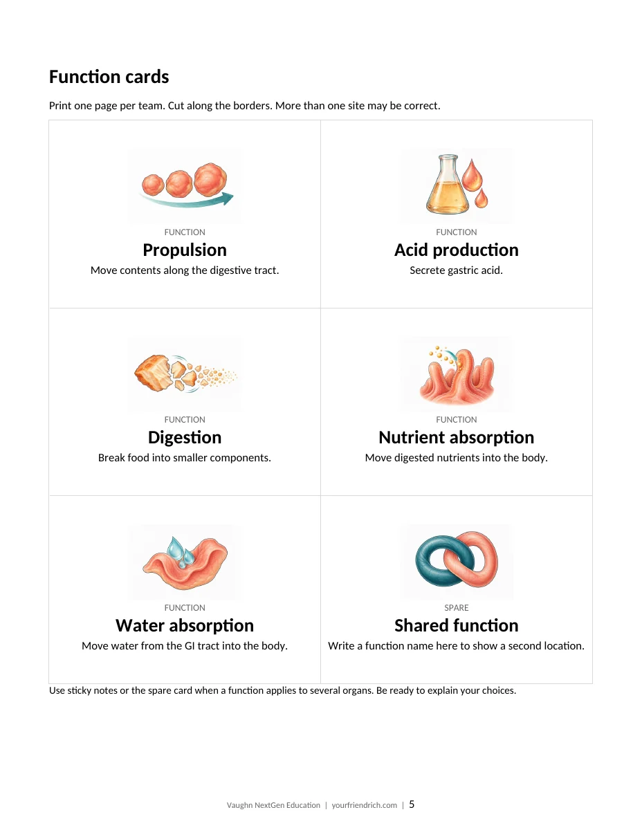Page 5 of 11 of Digestive Map Game Packet. Open the PDF for selectable document text.