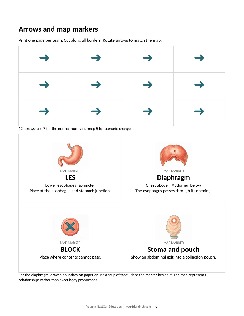 Page 6 of 11 of Digestive Map Game Packet. Open the PDF for selectable document text.